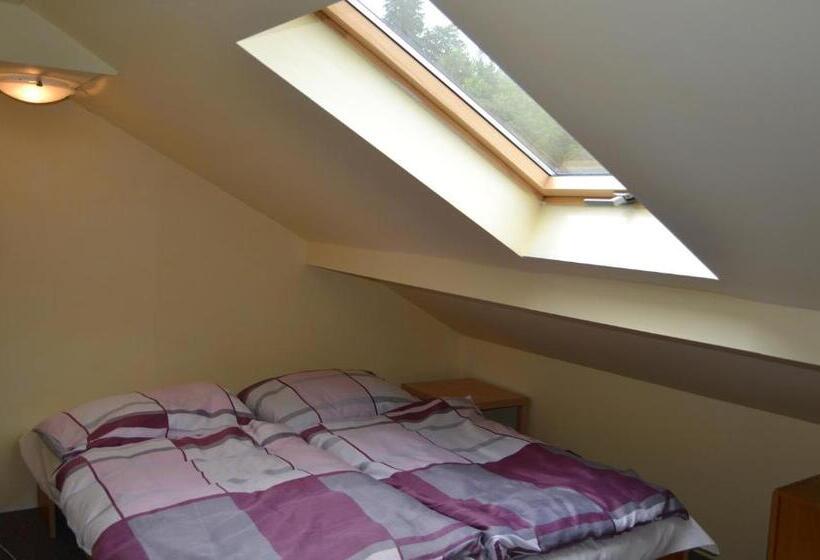 带共用浴室的标准房间, Pension Skalka