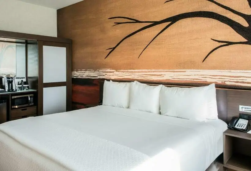 Standard-huone King-vuode, Cambria Hotel Mcallen Convention Center