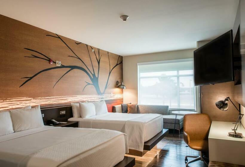 Номер Стандарт, Cambria Hotel Mcallen Convention Center