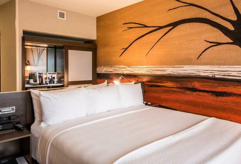 جناح لذوى الاحتياجات الخاصة, Cambria Hotel Mcallen Convention Center