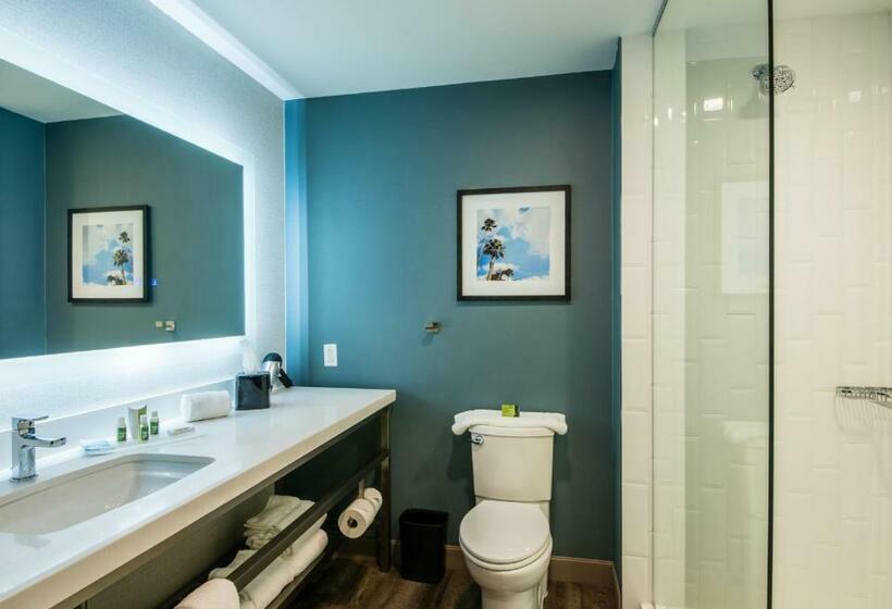 Люкс Адаптированный для Инвалидов, Cambria Hotel Mcallen Convention Center