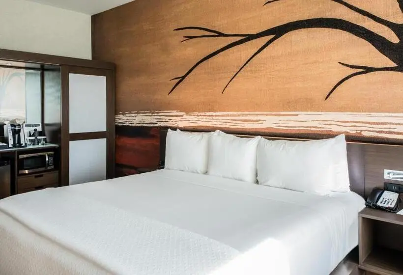 Standard-invahuone King-vuode, Cambria Hotel Mcallen Convention Center