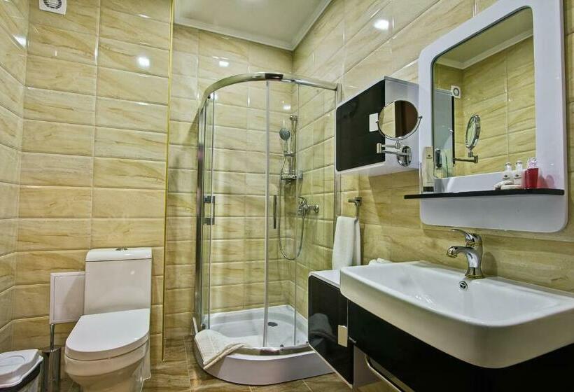 اتاق استاندارد, Discovery