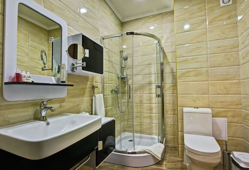 اتاق سوپریور, Discovery