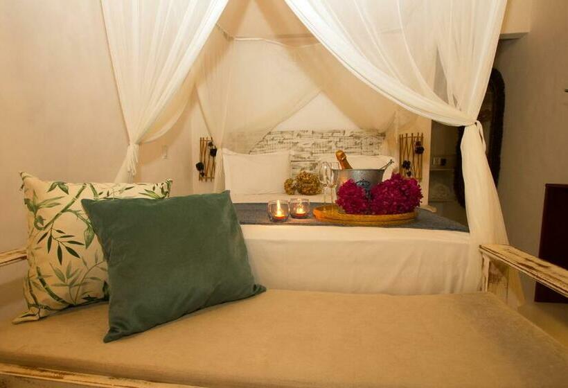 标准房带园景, Rio Da Barra Villa