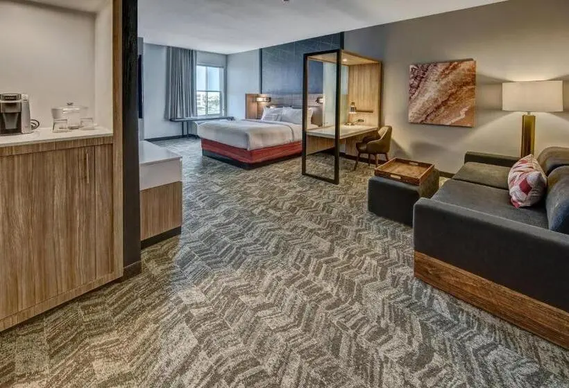 Sviitti King-vuode, Springhill Suites By Marriott Amarillo