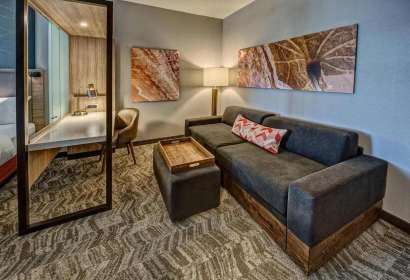 Люкс Кровать Кинг, Springhill Suites By Marriott Amarillo