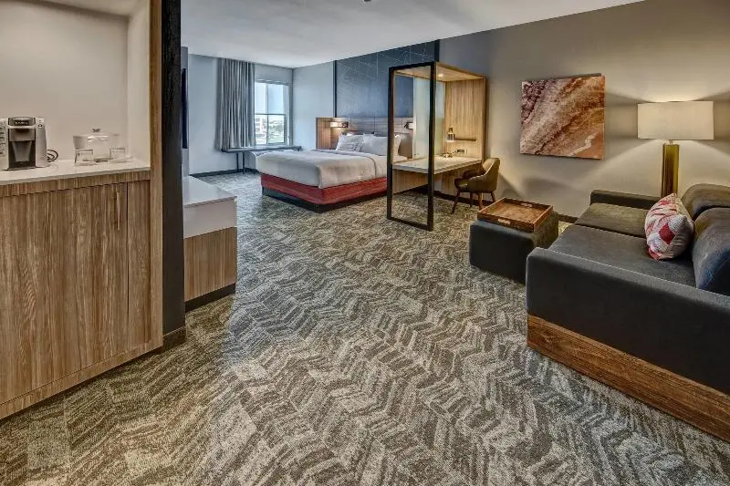 Sviitti King-vuode, Springhill Suites By Marriott Amarillo
