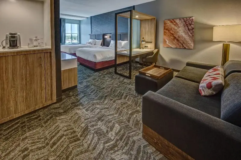 Sviitti King-vuode, Springhill Suites By Marriott Amarillo