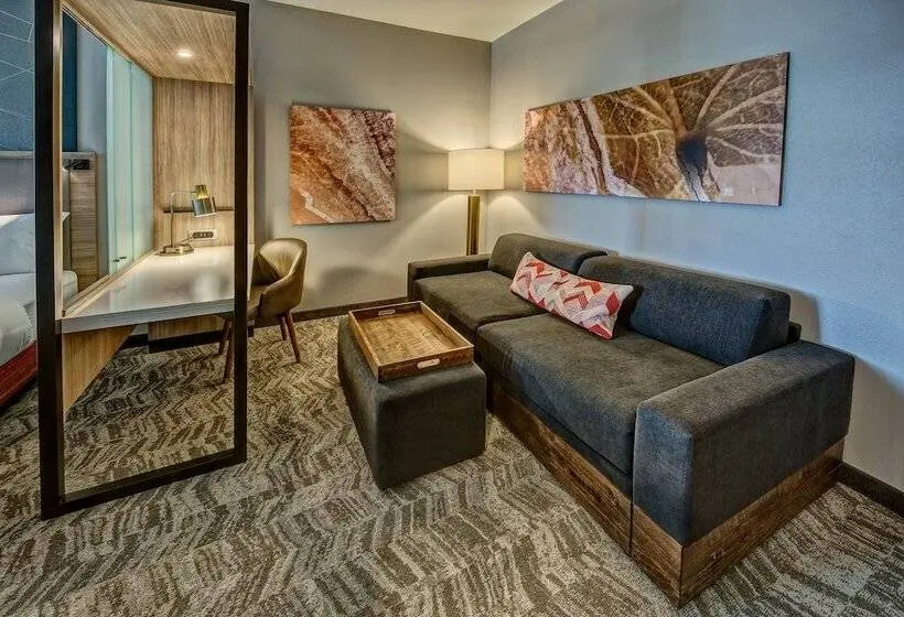 Sviitti, Springhill Suites By Marriott Amarillo