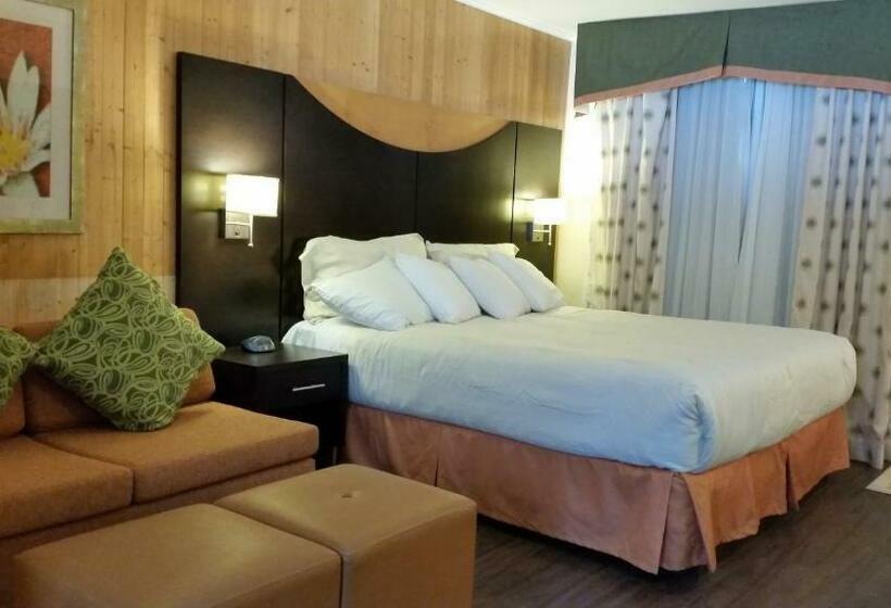 带大床的标准间, Trailsman Lodge