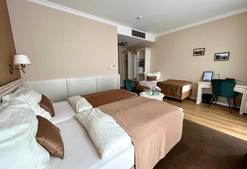 اتاق سوپریور, Wellness Hotel Pivovar Monopol