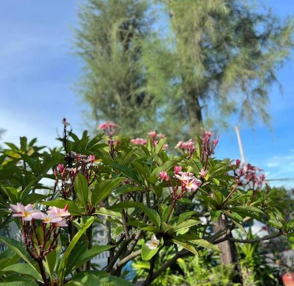 بنجلو ديلوكس, The Moon Kampot Boutique