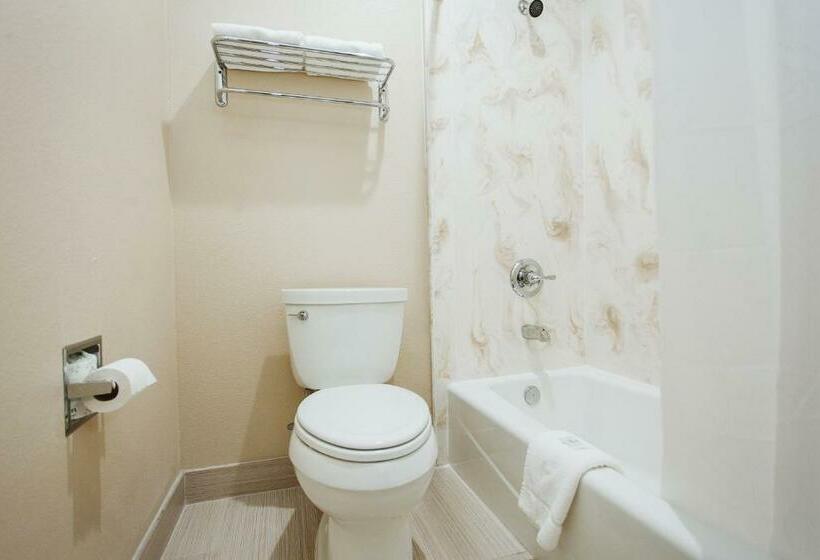 غرفة قياسية سرير كينج, Palace Inn Houston Northwest 290