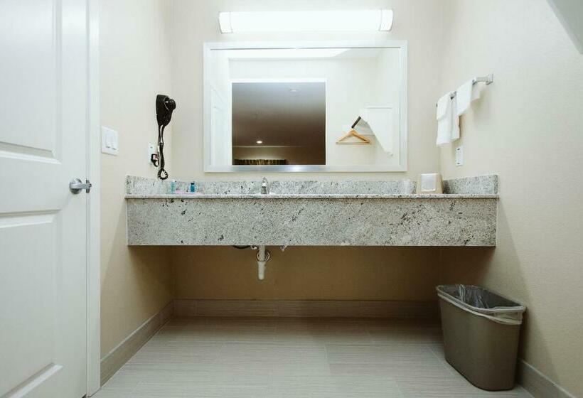 غرفة قياسية سرير كينج, Palace Inn Houston Northwest 290