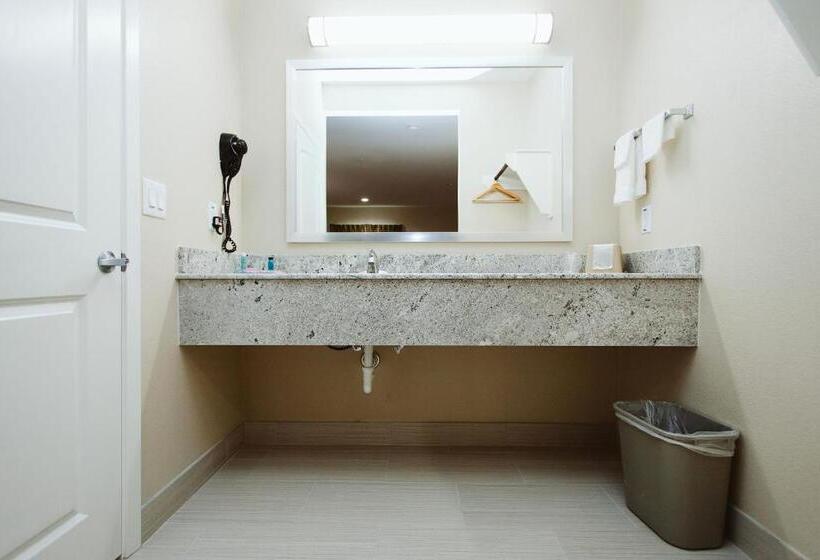 جناح ديلوكس سرير كينج, Palace Inn Houston Northwest 290