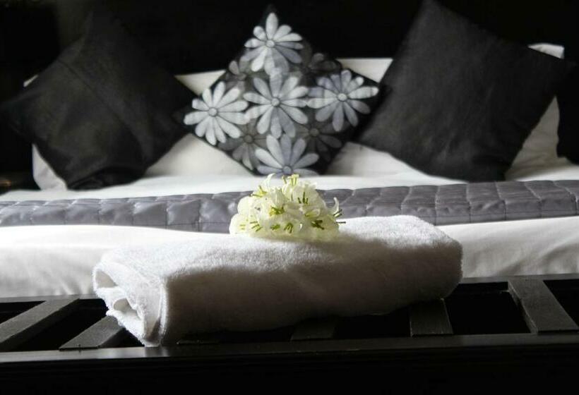 标准间, Palm Tree Manor