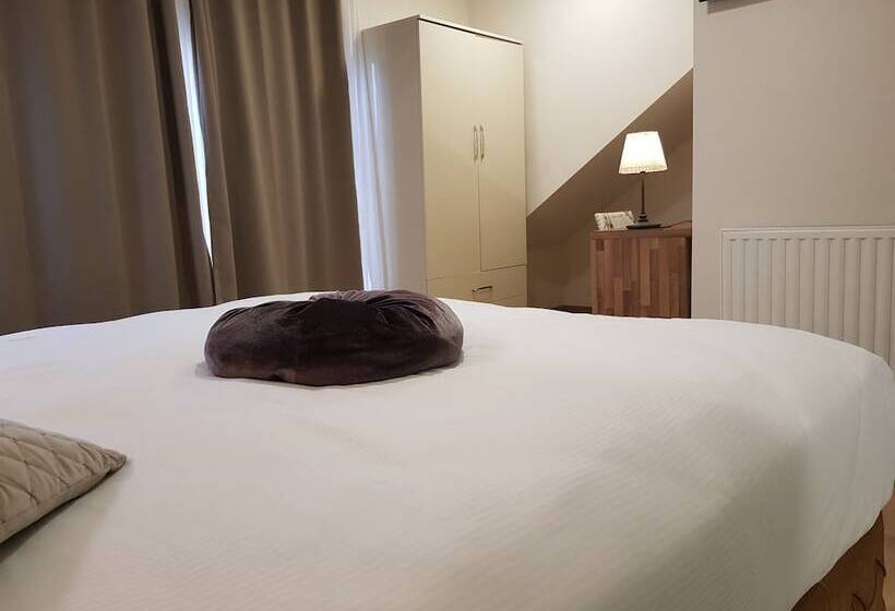 اتاق سوپریور, Hôtel Méribel