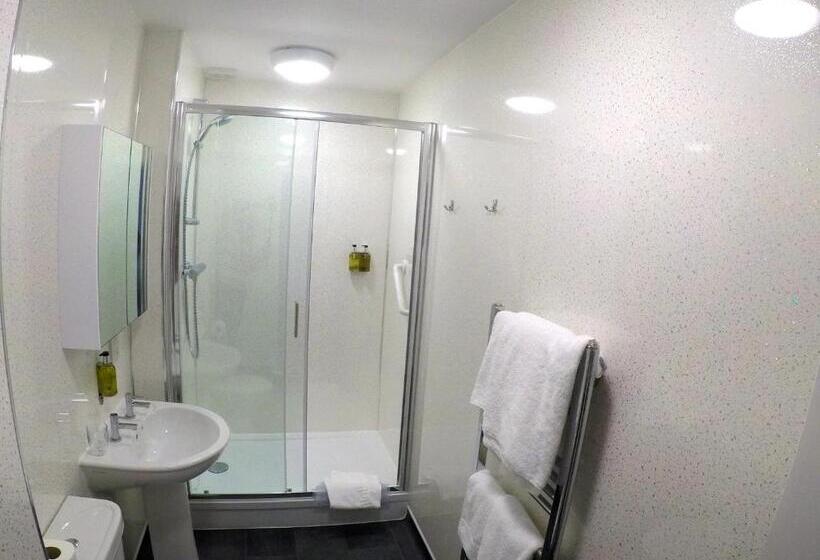 غرفة سوبيريور مطلة على المدينة, Manor