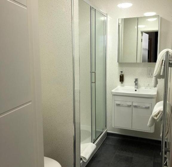 חדר סופריור נוף לעיר, Manor