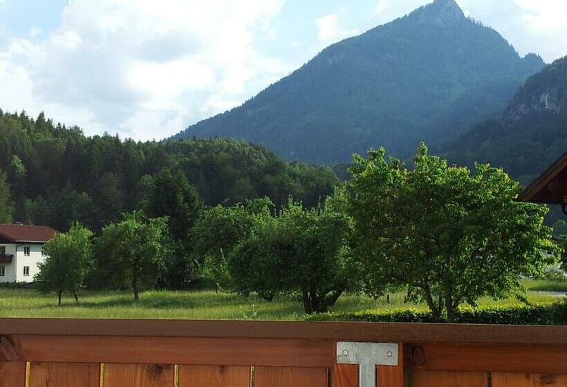 バルコニー付き1ベッドルームアパートメント, Haus Amalia