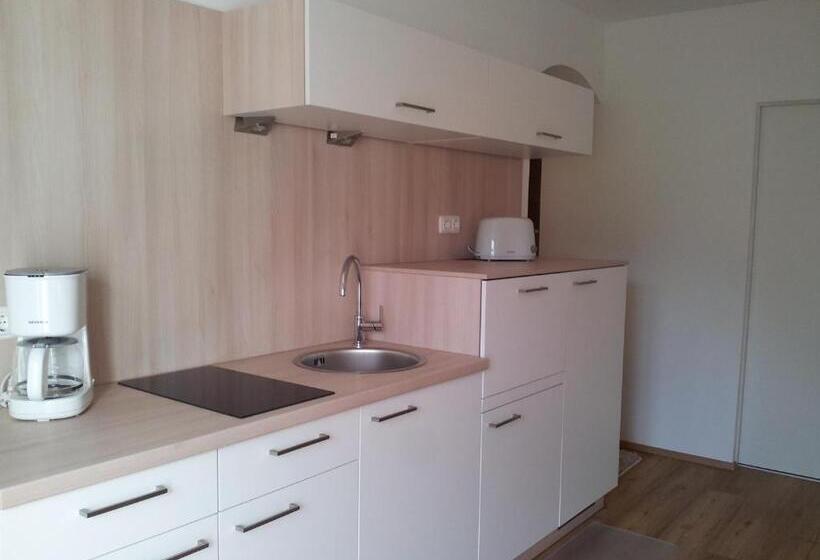 バルコニー付き1ベッドルームアパートメント, Haus Amalia