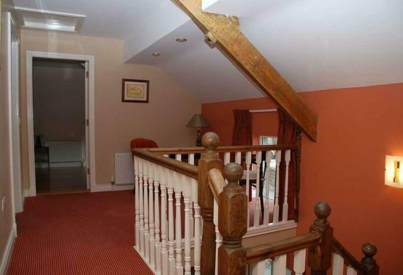 Номер Стандарт, O'briens Cashel Lodge