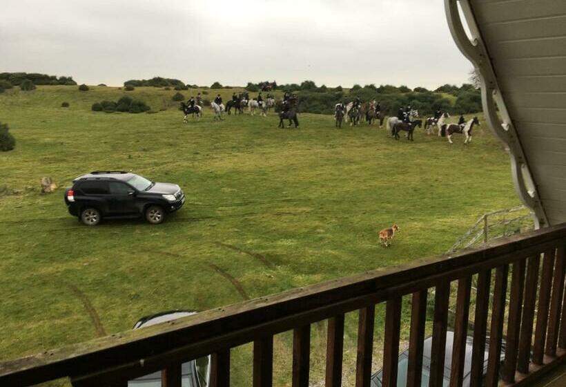 חדר משפחתי דלוקס, The Curragh Country House Accommodation