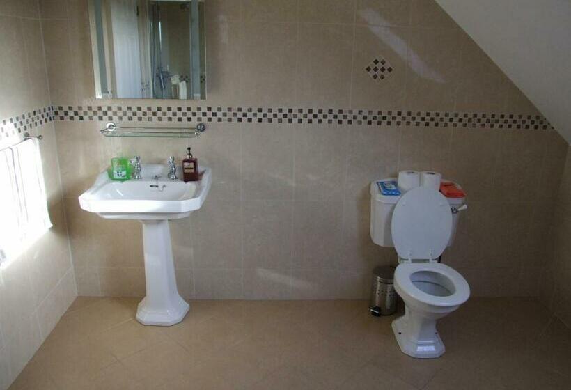 חדר סטנדרט חדר אמבטיה משותף, The Curragh Country House Accommodation