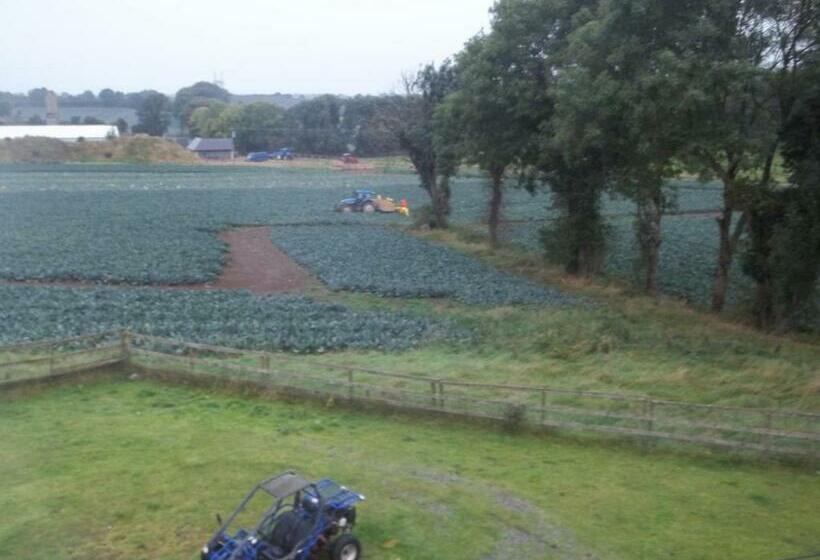 חדר סטנדרט חדר אמבטיה משותף, The Curragh Country House Accommodation