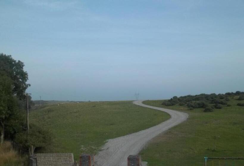 חדר סטנדרט, The Curragh Country House Accommodation