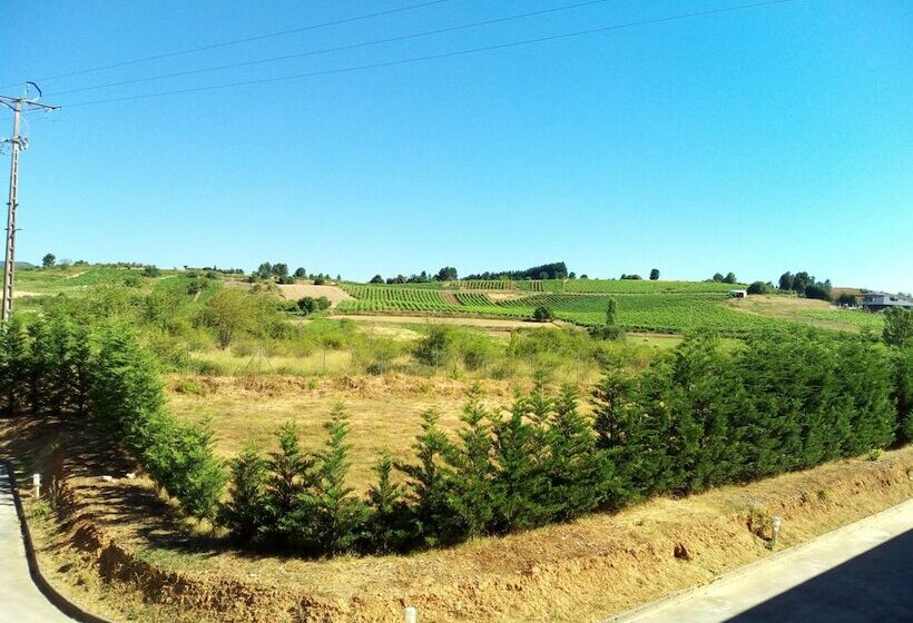 スタンダードルーム, Motel Acropolis