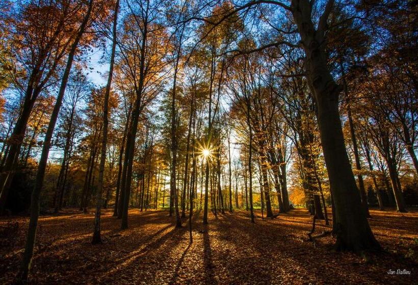 חדר קומפורט, B&b Lievejan