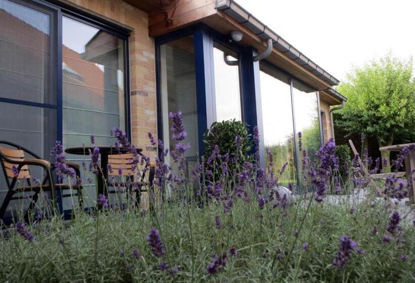 חדר קומפורט, B&b Lievejan