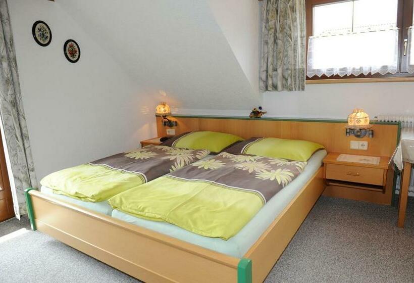 Pokój Standard z Balkonem, Haus Dorfer