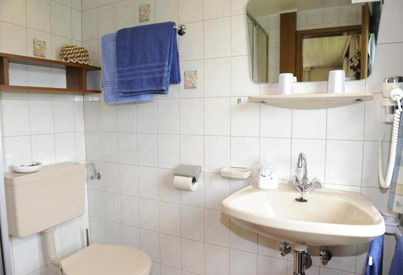 Standardrum med Terrass, Haus Dorfer