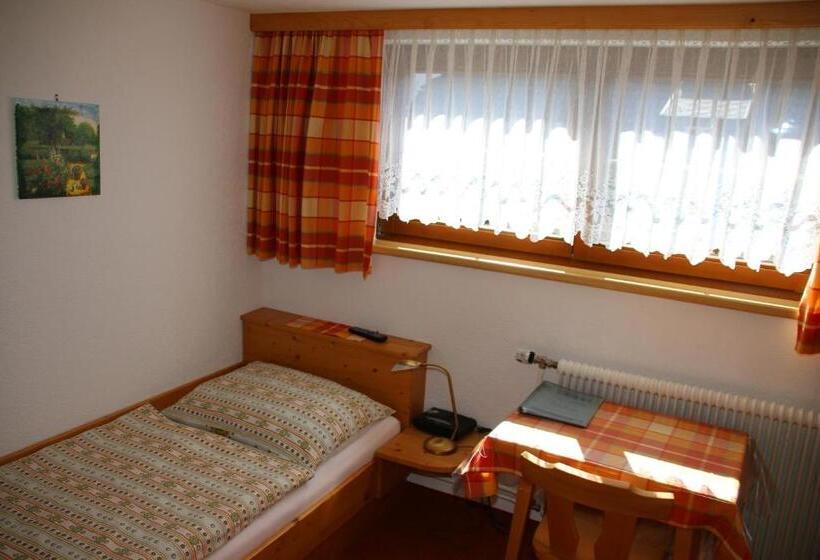 Pokój Standard Jednoosobowy, Haus Dorfer