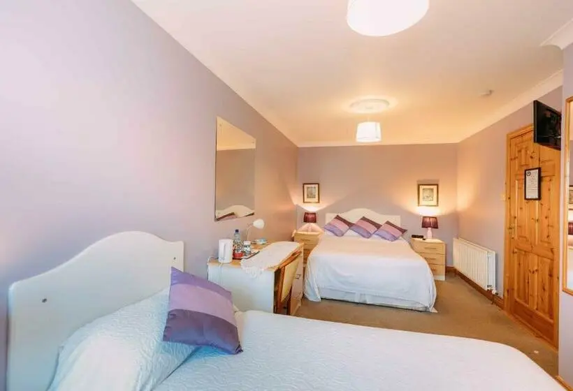 Standard-huone, Clareville House B&b