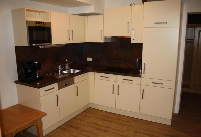 آپارتمان 1 خوابه, Garni Dorfblick