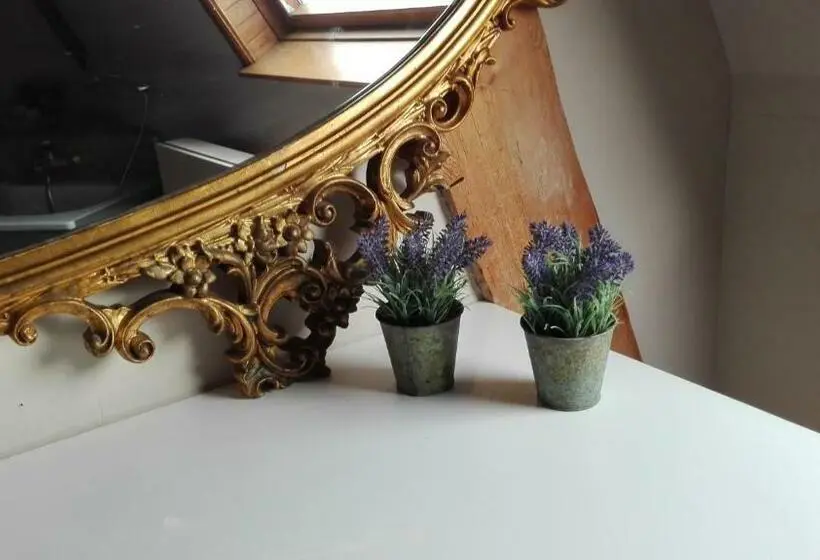 １ベッドルームペントハウスアパート, Hooghuys