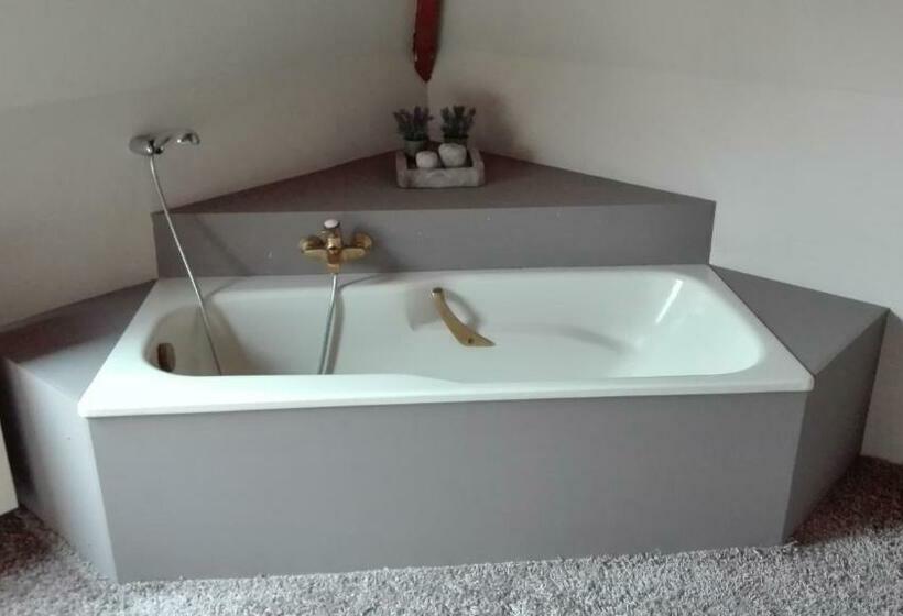 דירת פנטהאוז 1 חדרי שינה, Hooghuys