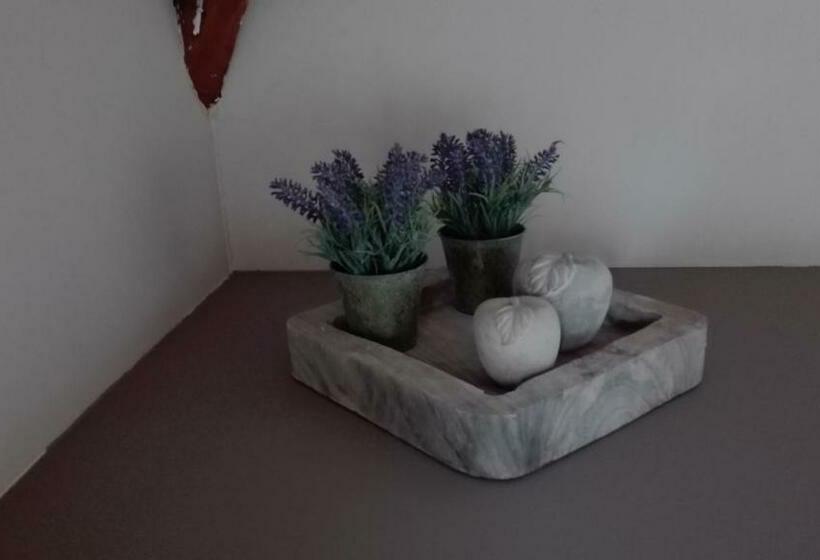 １ベッドルームペントハウスアパート, Hooghuys