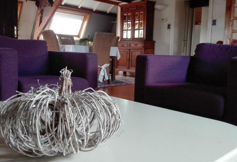 דירת פנטהאוז 1 חדרי שינה, Hooghuys