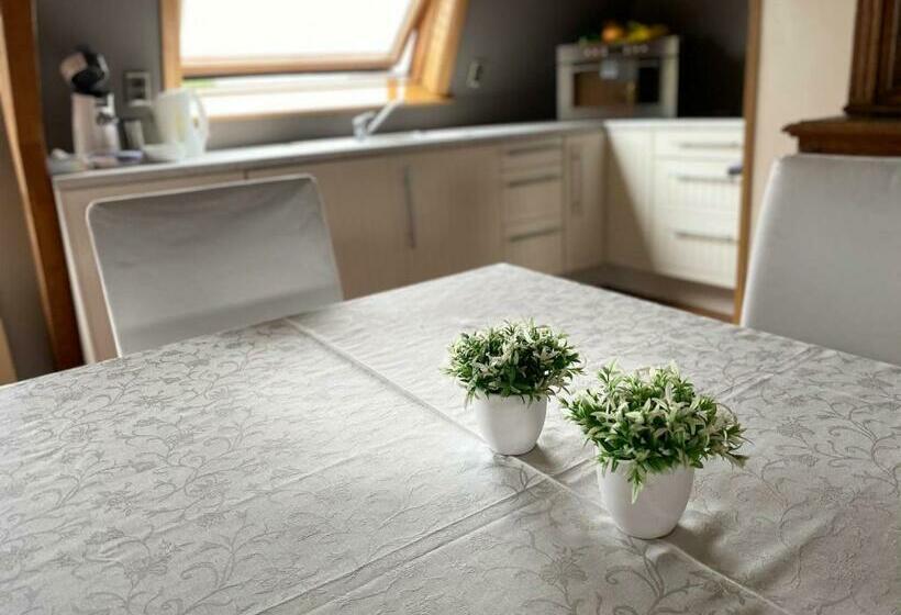 1 Bedroom Penthouse Apartment, Hooghuys