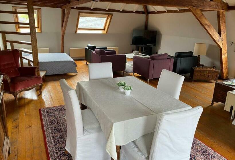 דירת פנטהאוז 1 חדרי שינה, Hooghuys