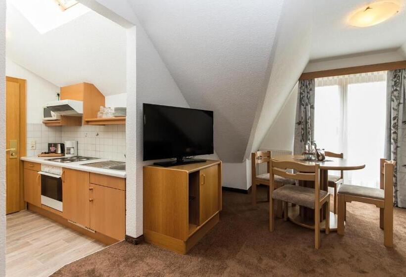 带1个卧室的带阳台的公寓, Idhof