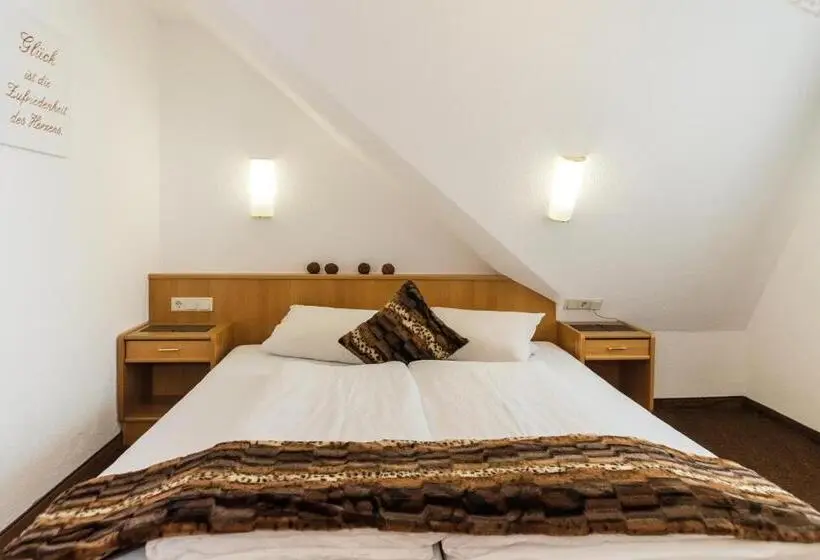 Apartamento 1 Dormitorio con Balcón, Idhof