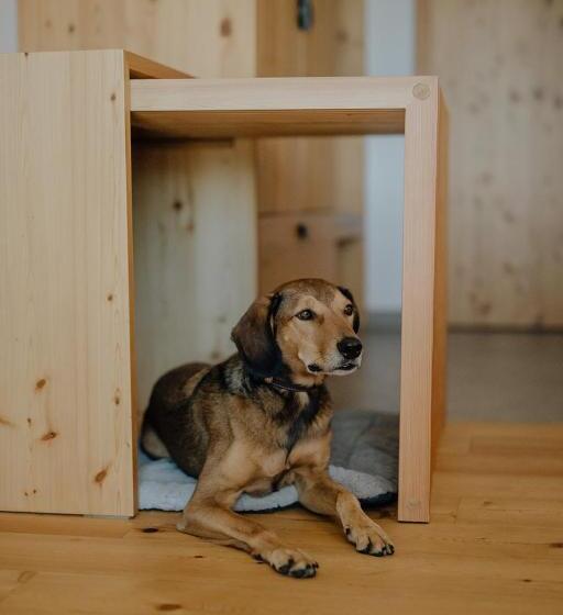 이코노미 룸, Thalers Mariandl