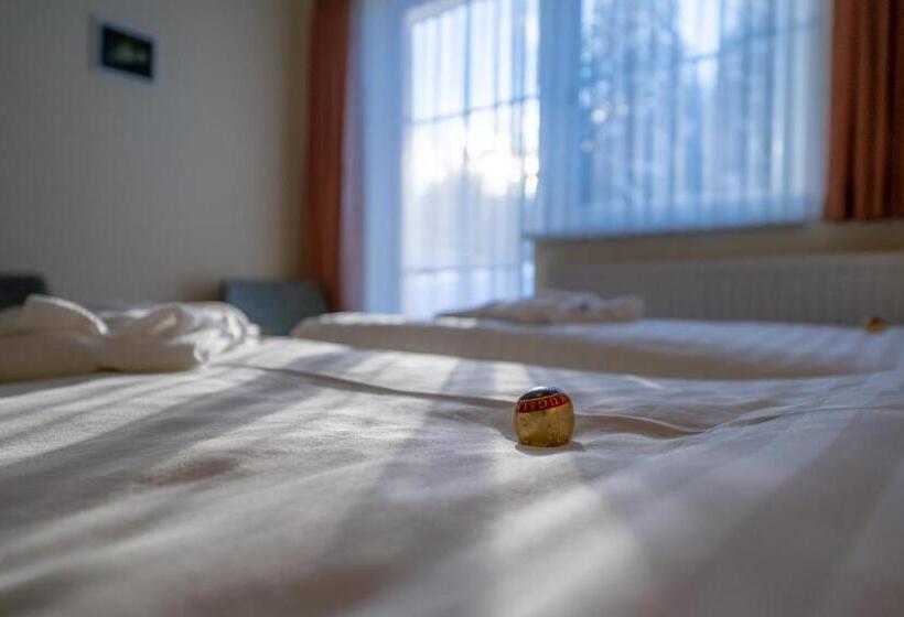 غرفة سوبيريور مزودة بشرفة, Tischlbergerhof