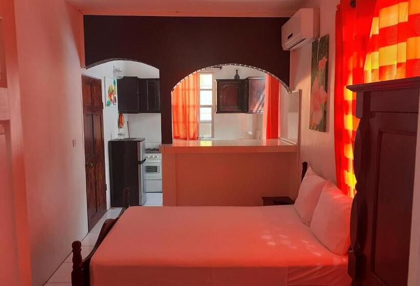 استودیوی استاندارد, St. James Guesthouse